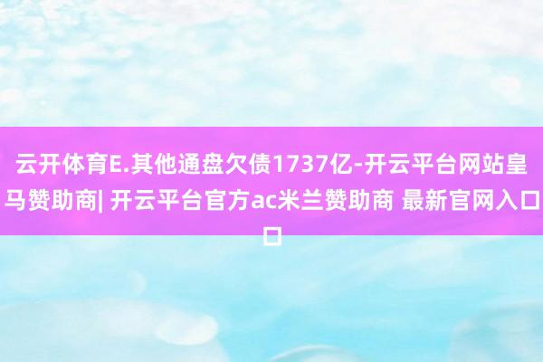 云开体育E.其他通盘欠债1737亿-开云平台网站皇马赞助商| 开云平台官方ac米兰赞助商 最新官网入口