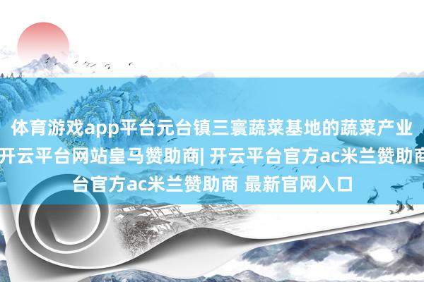 体育游戏app平台元台镇三寰蔬菜基地的蔬菜产业发展日渐老到-开云平台网站皇马赞助商| 开云平台官方ac米兰赞助商 最新官网入口