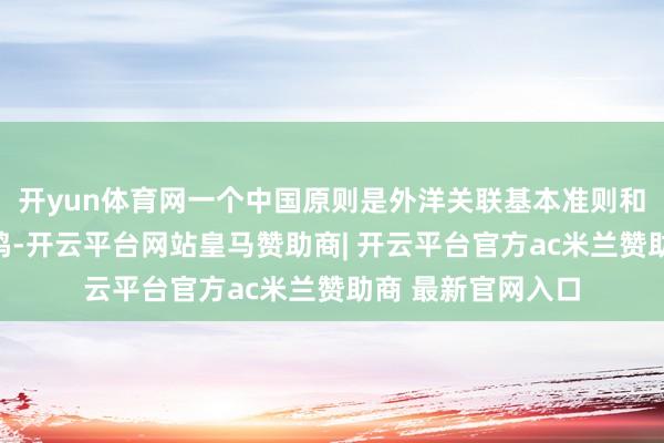 开yun体育网一个中国原则是外洋关联基本准则和外洋社会无数共鸣-开云平台网站皇马赞助商| 开云平台官方ac米兰赞助商 最新官网入口