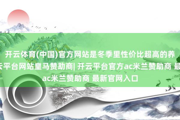 开云体育(中国)官方网站是冬季里性价比超高的养生圣品-开云平台网站皇马赞助商| 开云平台官方ac米兰赞助商 最新官网入口
